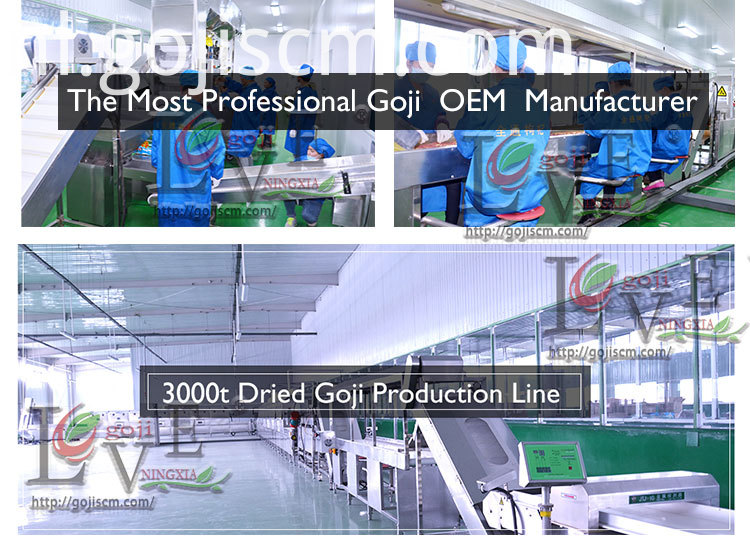 Natuurlijk gecertificeerde GOJI BERRY productielijn Natural Certificated GOJI BERRY production line